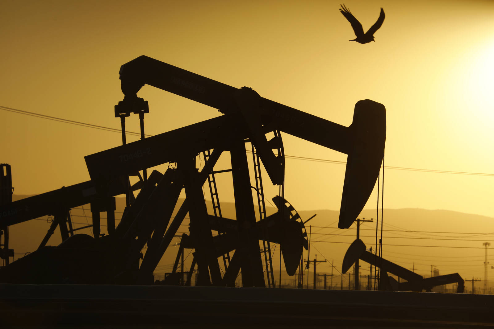 COVID and Oil: A Brief Overview of the Oil Industry